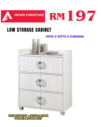 02_LOW STORAGE CABINET