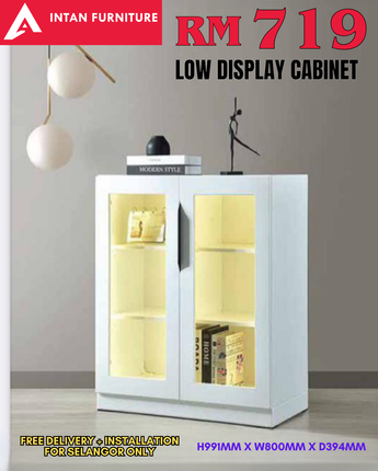 03_LOW DISPLAY CABINET WITH LED - 2.5FT